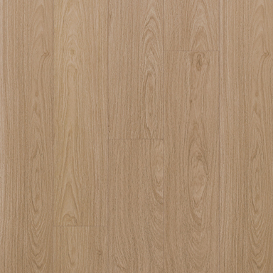 Splendor Oak [1709]