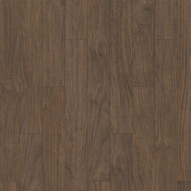 Decent Walnut [8774]